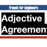 adjective Agreement